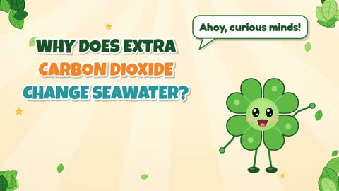 Why Does Extra Carbon Dioxide Change Seawater?