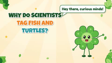 Why Do Scientists Tag Fish and Turtles?