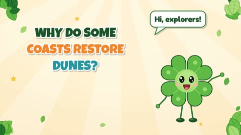 Why Do Some Coasts Restore Dunes?