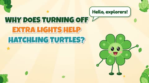 Why Does Turning Off Extra Lights Help Hatchling Turtles?