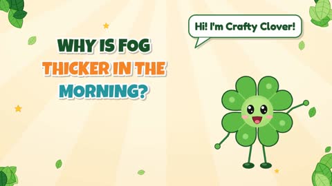 Why Is Fog Thicker in the Morning?