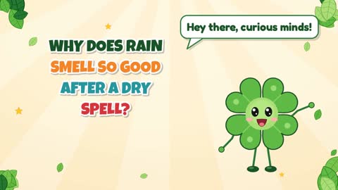 Why Does Rain Smell So Good After a Dry Spell?