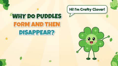 Why Do Puddles Form and Then Disappear?