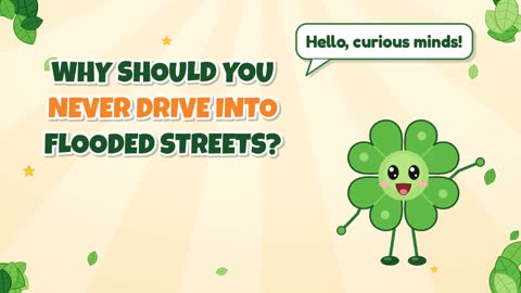 Why Should You Never Drive Into Flooded Streets?