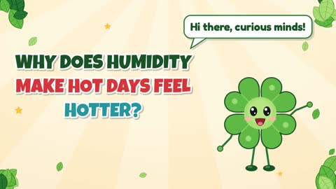 Why Does Humidity Make Hot Days Feel Hotter?