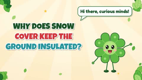 Why Does Snow Cover Keep the Ground Insulated?
