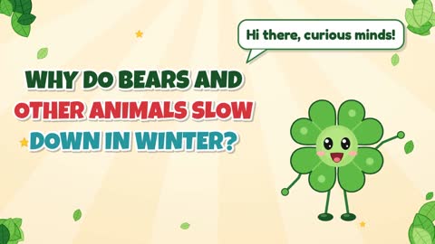 Why Do Bears and Other Animals Slow Down in Winter?