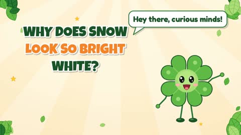 Why Does Snow Look So Bright White?