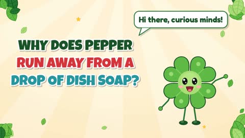 Why Does Pepper Run Away From a Drop of Dish Soap?
