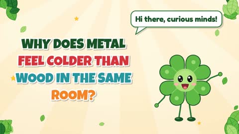 Why Does Metal Feel Colder than Wood in the Same Room?