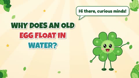 Why Does an Old Egg Float in Water?