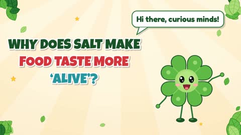 Why Does Salt Make Food Taste More ‘Alive’?
