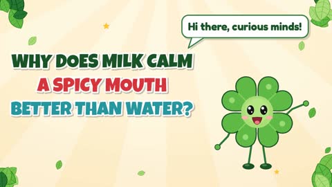 Why Does Milk Calm a Spicy Mouth Better than Water?