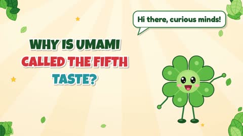 Why Is Umami Called the Fifth Taste?
