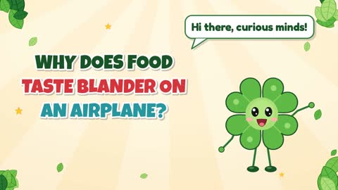 Why Does Food Taste Blander on an Airplane?