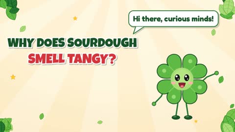 Why Does Sourdough Smell Tangy?