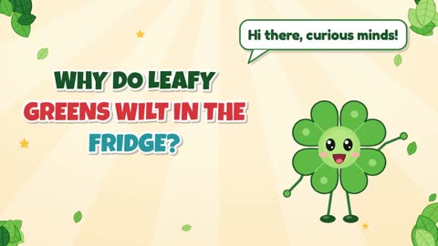 Why Do Leafy Greens Wilt in the Fridge?