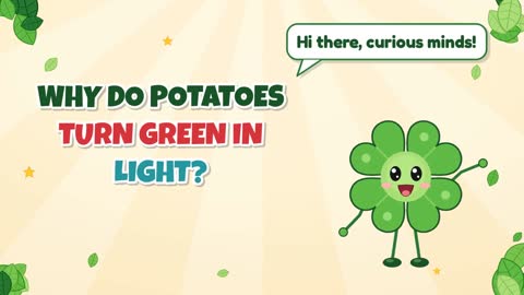 Why Do Potatoes Turn Green in Light?