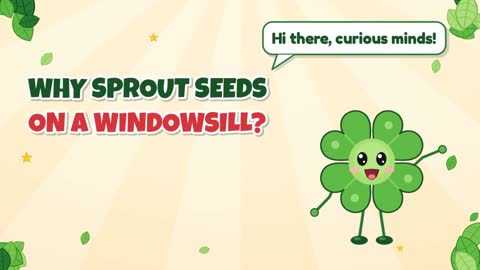 Why Sprout Seeds on a Windowsill?