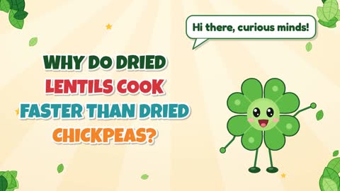 Why Do Dried Lentils Cook Faster than Dried Chickpeas?