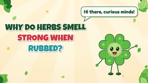 Why Do Herbs Smell Strong When Rubbed?