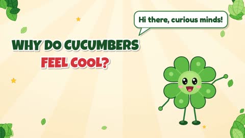 Why Do Cucumbers Feel Cool?