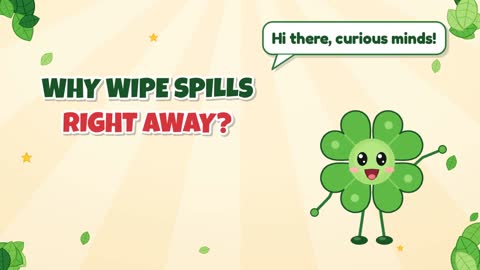 Why Wipe Spills Right Away?